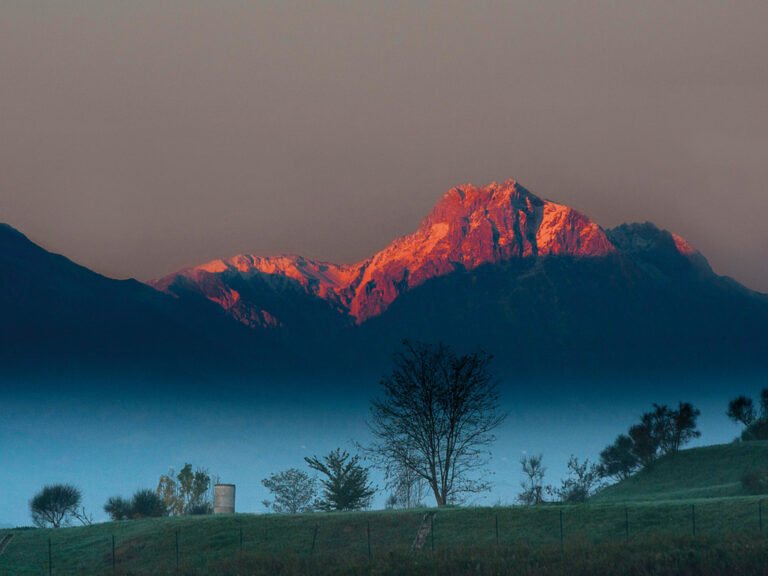 La bella addormentata